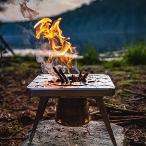 Stove – compact multi fuel – NST09WBUS